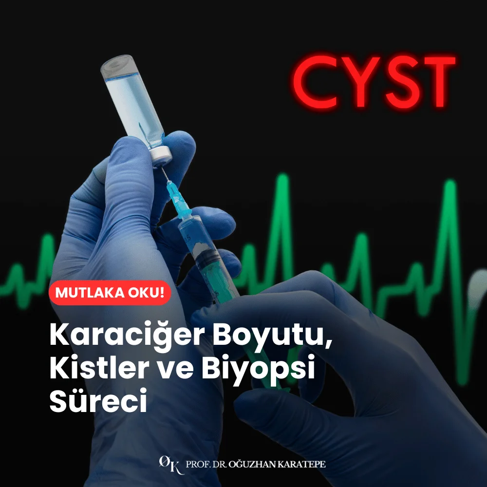 Karaciğer Boyutu, Kistler ve Biyopsi Süreci