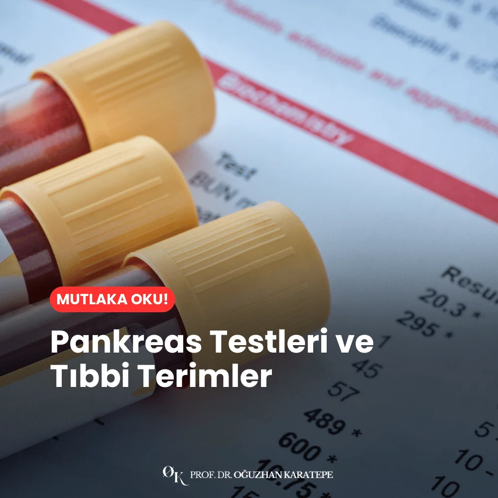 Pankreas Testleri ve Tıbbi Terimler neler