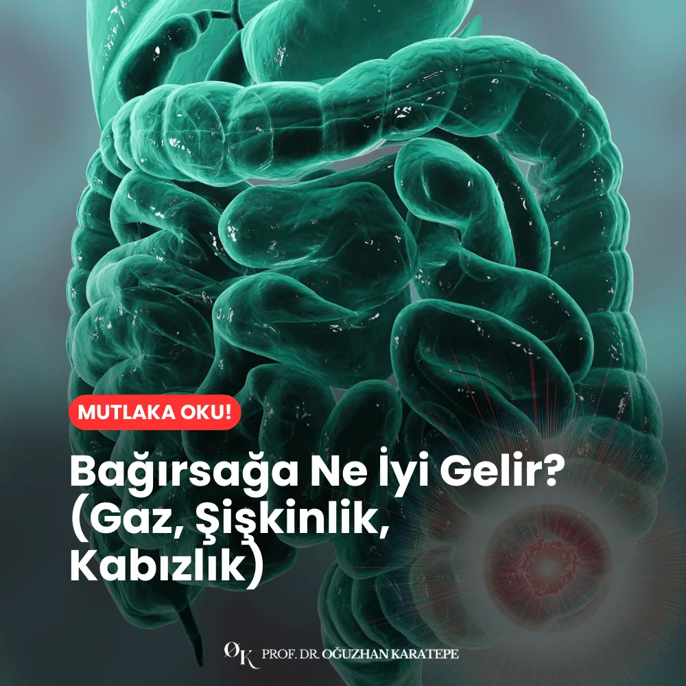 Bağırsağa Ne İyi Gelir? (Gaz, Şişkinlik, Kabızlık)