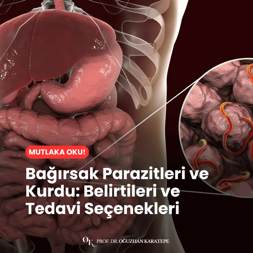 Bağırsak Parazitleri ve Kurdu Belirtileri ve Tedavi Seçenekleri