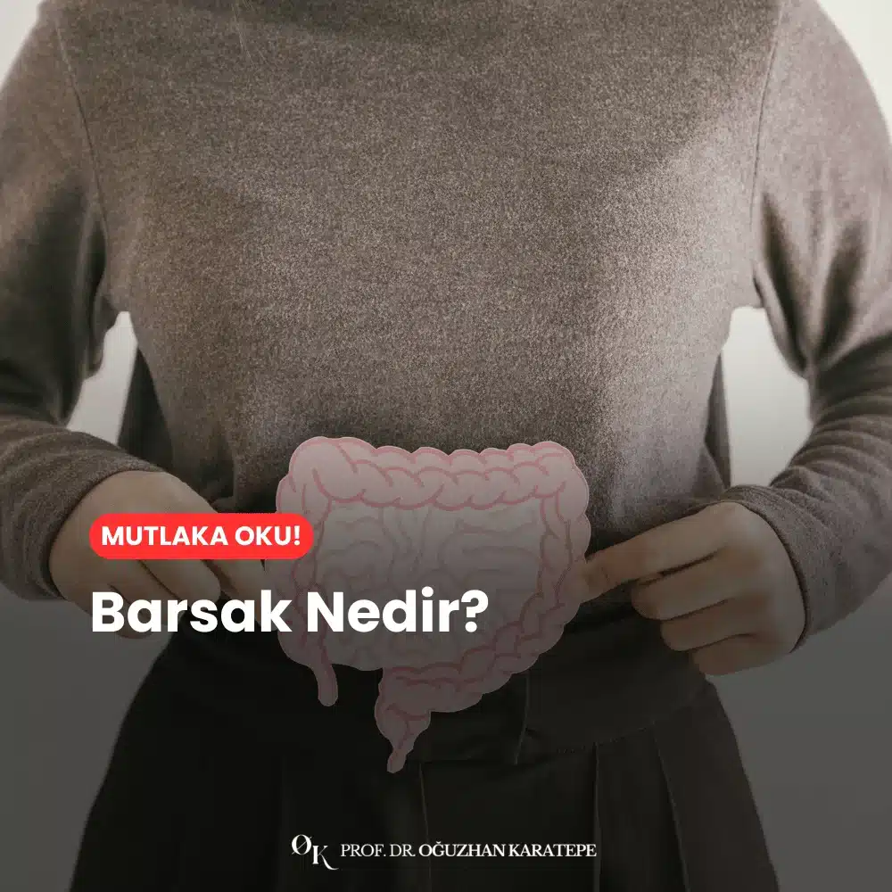 Barsak Nedir?