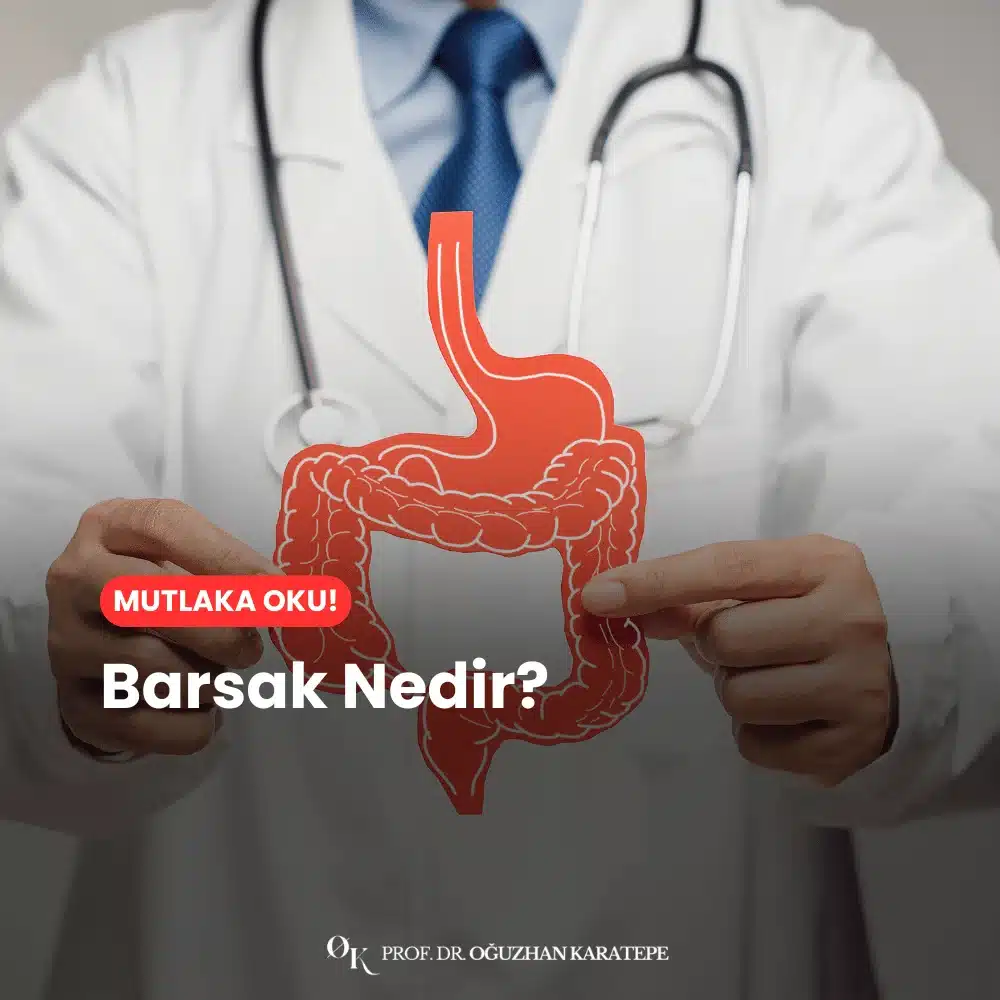 Barsak Nedir