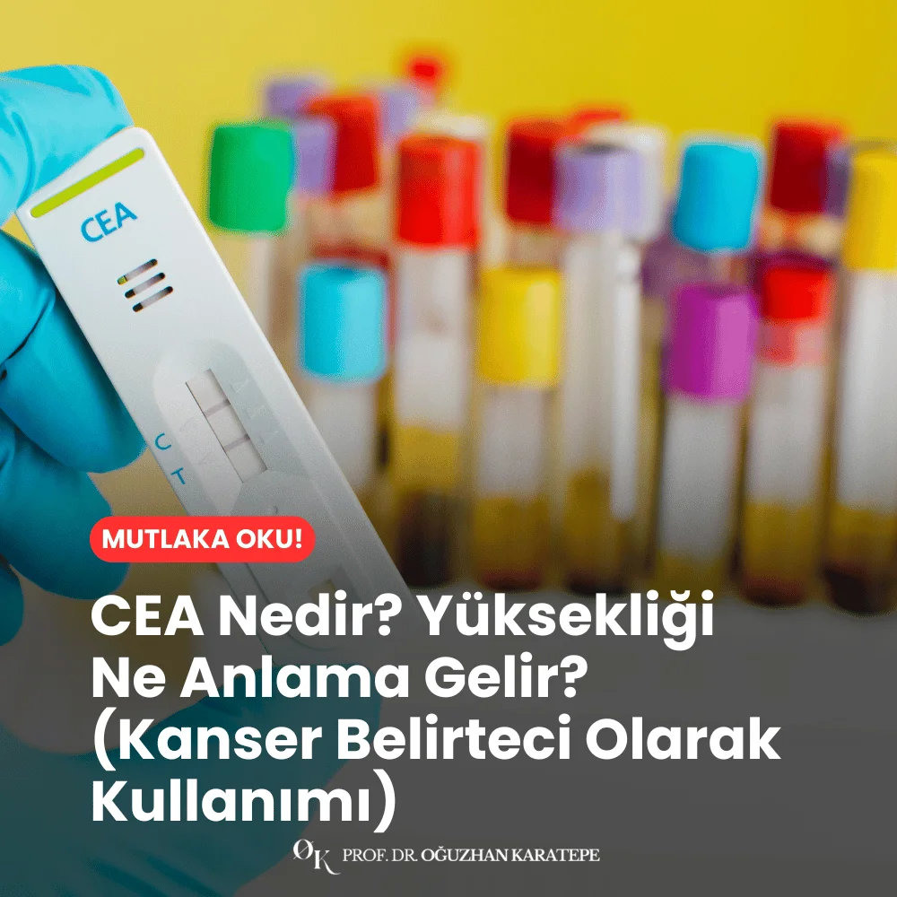 CEA nedir