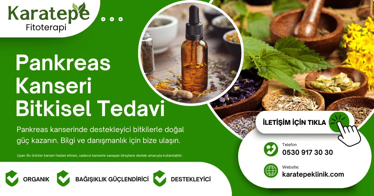 Pankreas Kanseri Fitoterapi