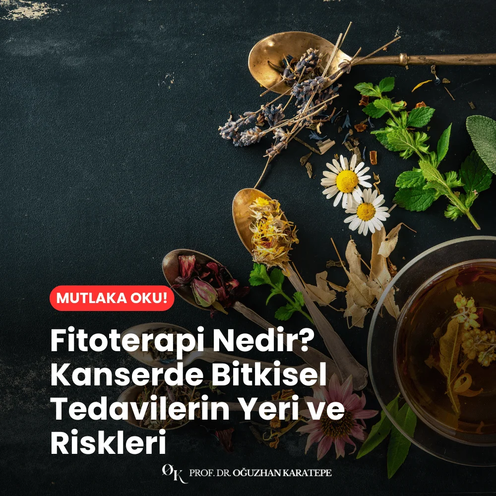 Fitoterapi Nedir? Kanserde Bitkisel Tedavilerin Yeri ve Riskleri Nedir