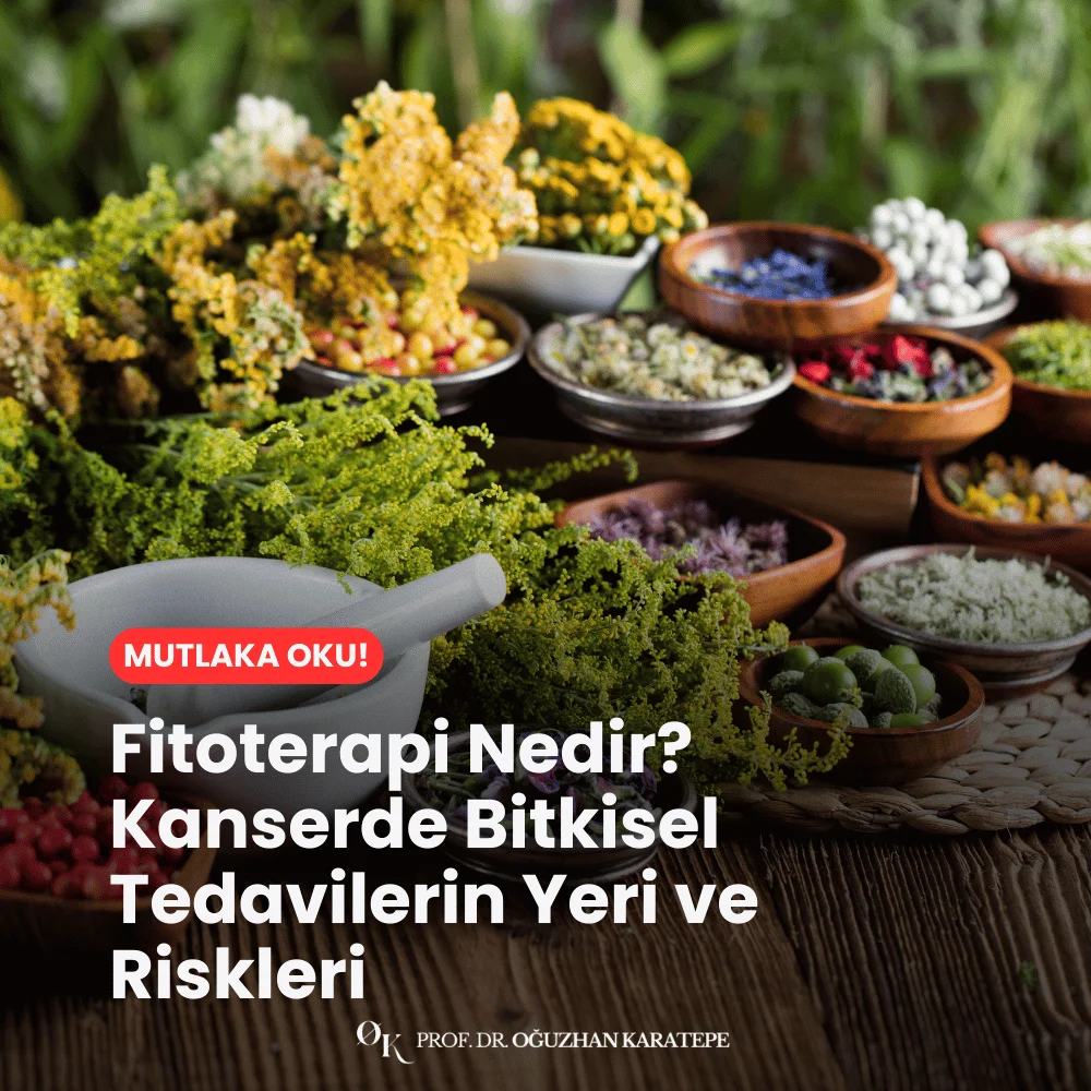 Fitoterapi Nedir? Kanserde Bitkisel Tedavilerin Yeri ve Riskleri