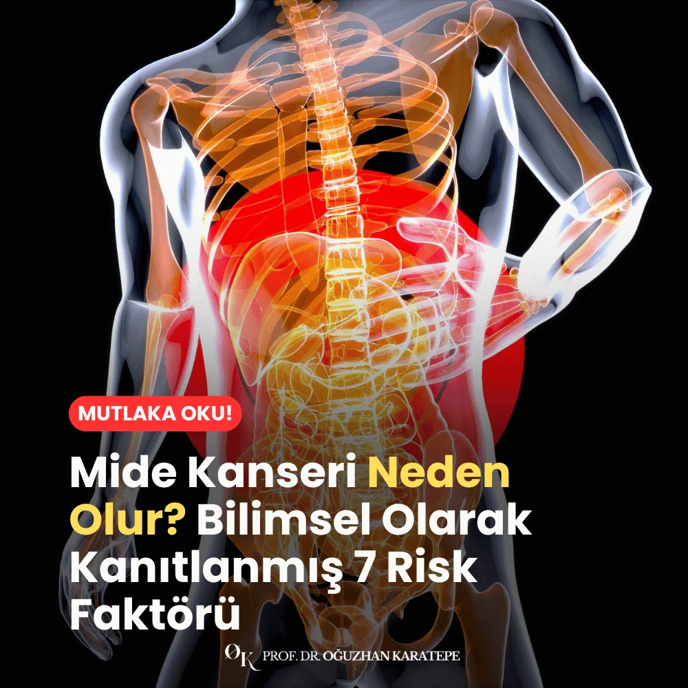 Mide Kanseri Neden Olur? Bilimsel Olarak Kanıtlanmış 7 Risk Faktörü Nedir
