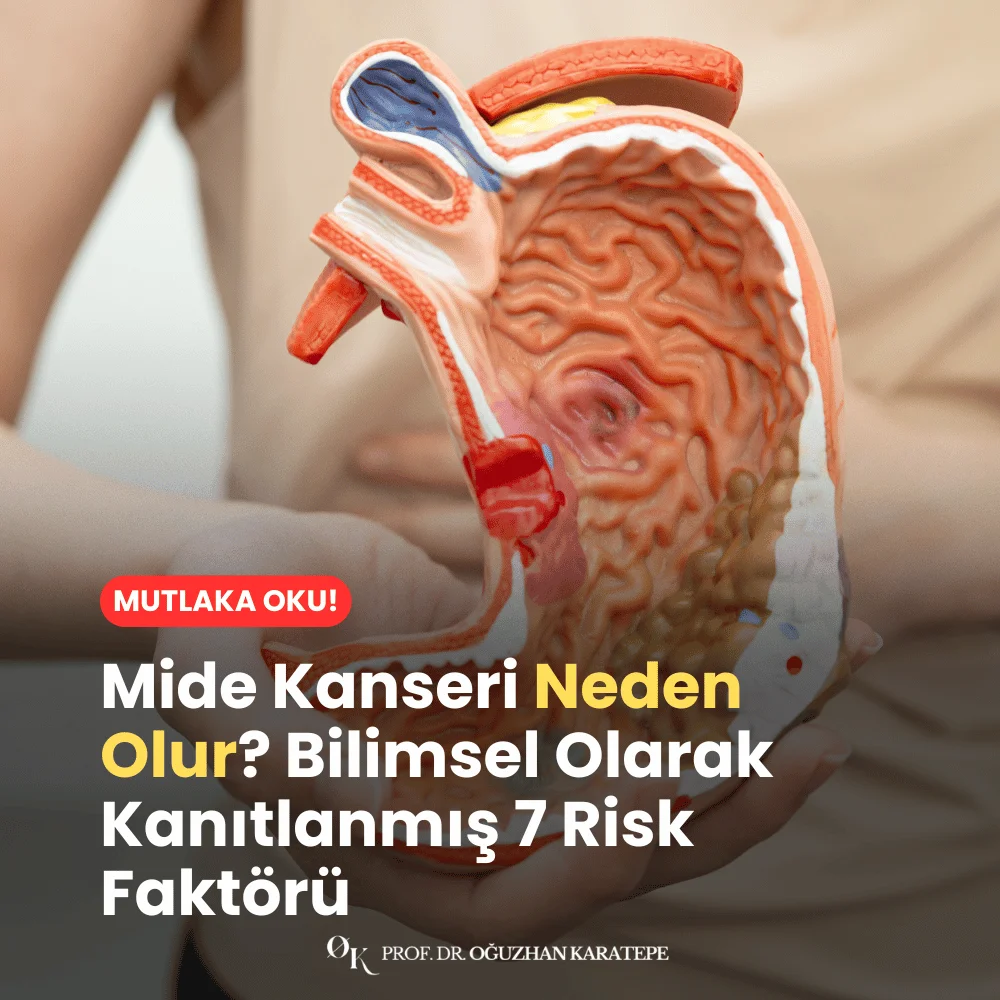 Mide Kanseri Neden Olur? Bilimsel Olarak Kanıtlanmış 7 Risk Faktörü