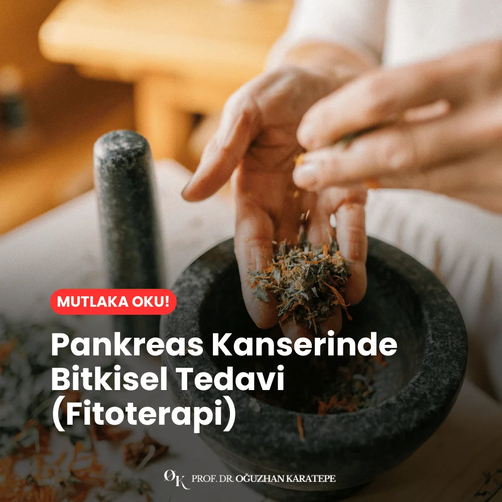Pankreas Kanserinde Bitkisel Tedavi (Fitoterapi)
