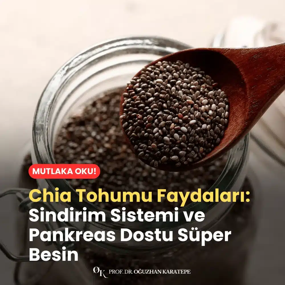 Chia Tohumu Faydaları