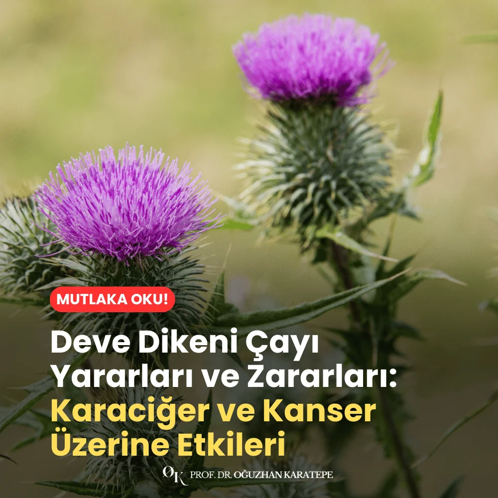 Deve Dikeni Çayı Yararları ve Zararları Neler