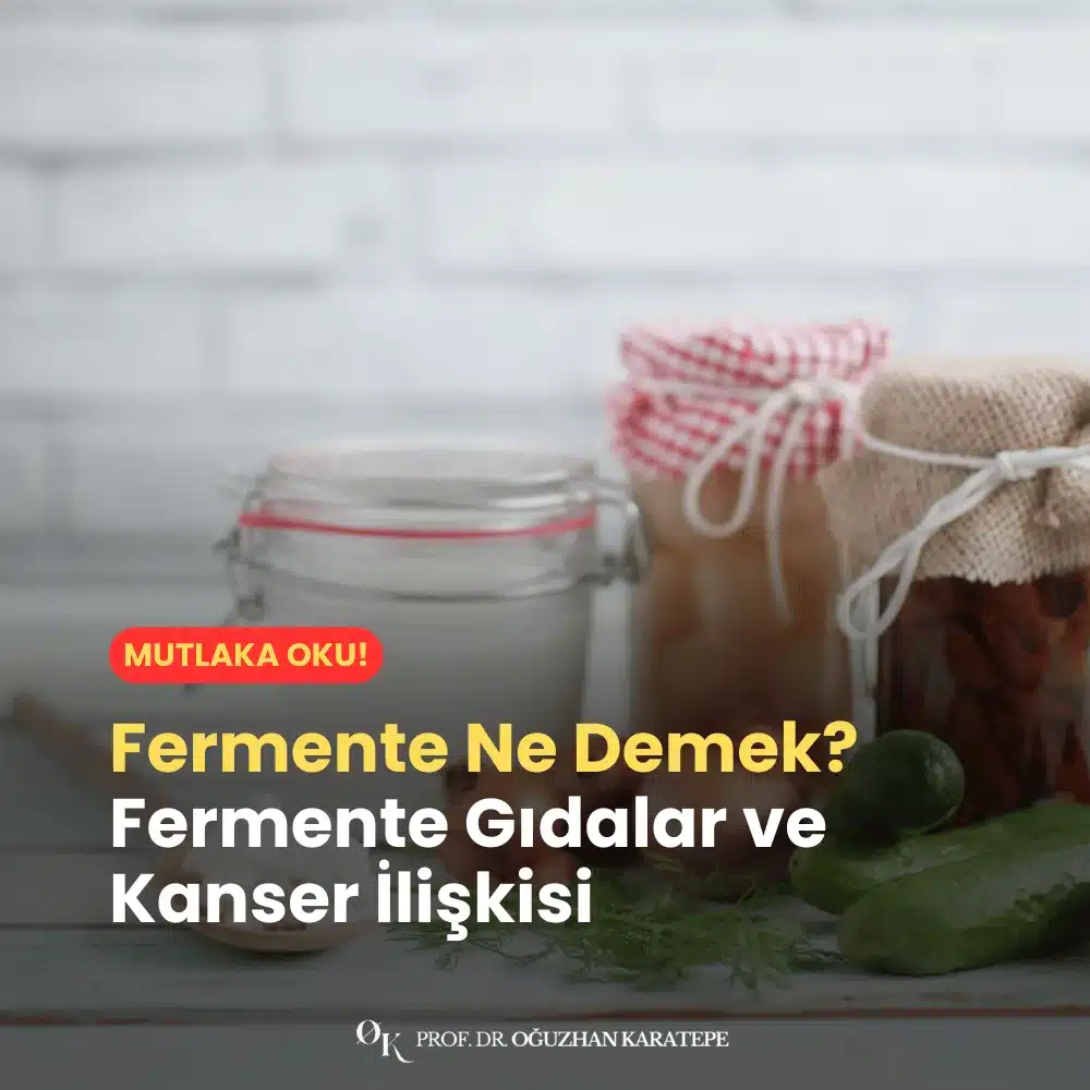 Fermente Ne Demek