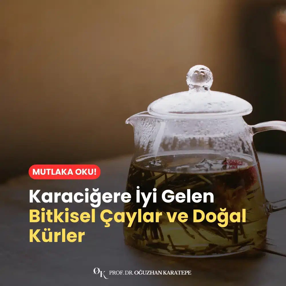 Karaciğere İyi Gelen Bitkisel Çaylar ve Doğal Kürler Neler