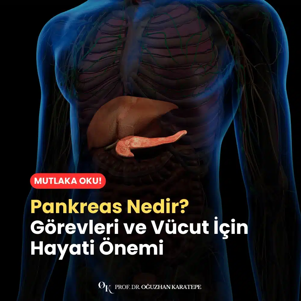 Pankreas Nedir