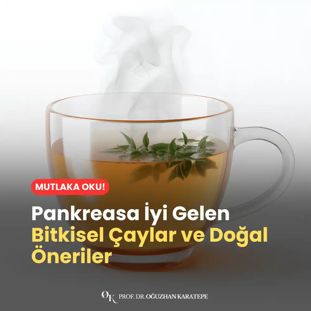 Pankreasa İyi Gelen Bitkisel Çaylar ve Doğal Öneriler