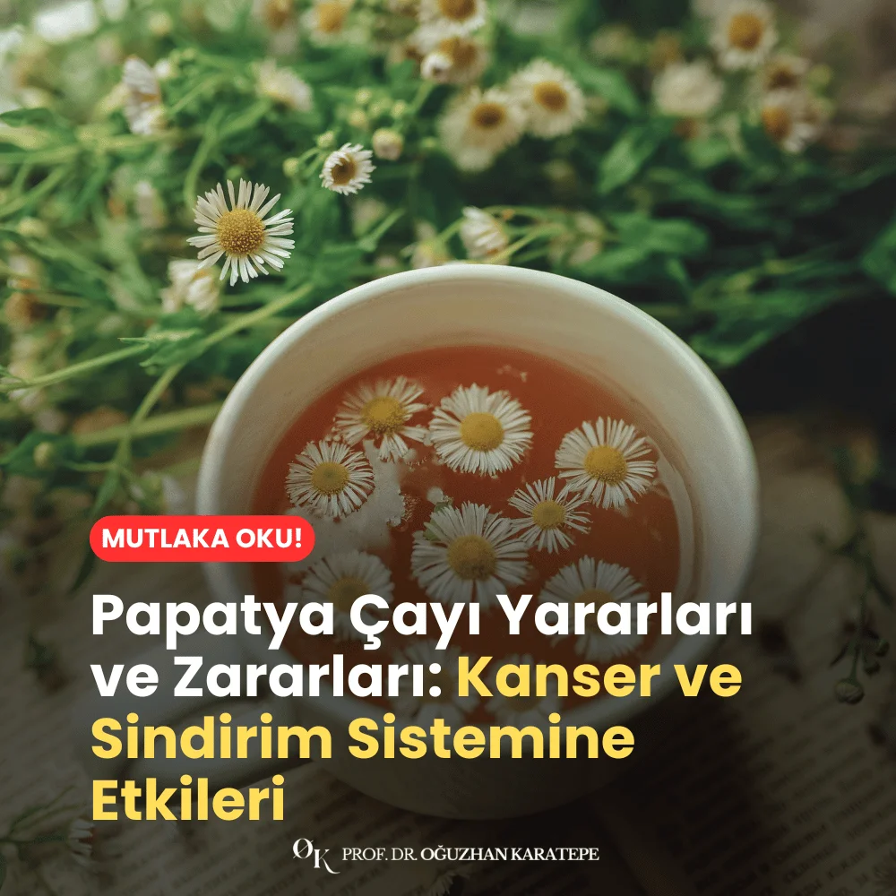 Papatya çayı yararları ve zararları neler