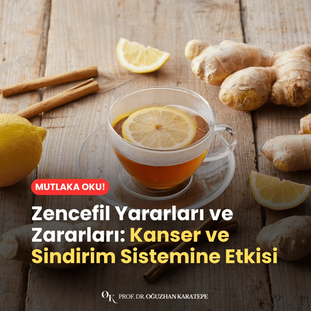Zencefil Yararları ve Zararları Nedir
