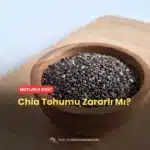 Chia Tohumu Zararlı Mı