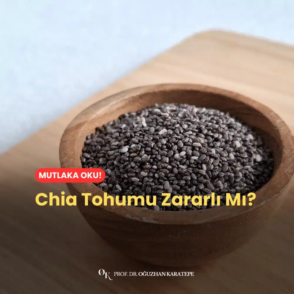 Chia Tohumu Zararlı Mı
